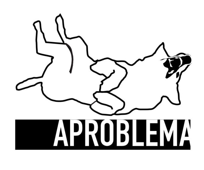 aproblema.com